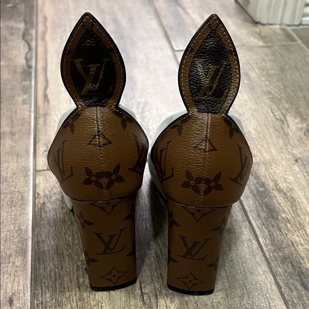 Louis Vuitton Monogram Brown Heels